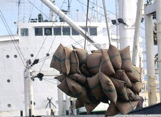 Đề xuất cho đẩy mạnh xuất khẩu gạo đến hết tháng 6/2009 